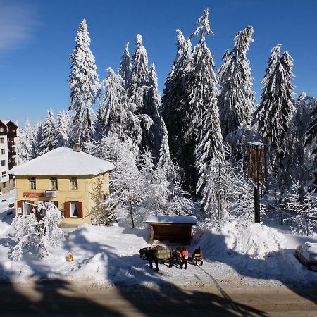 Borovets Apartment, Villa Park Zewnętrze zdjęcie