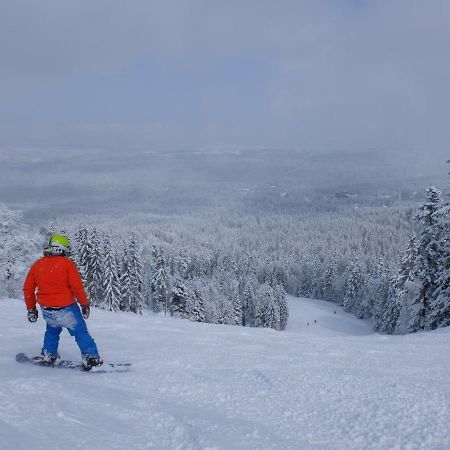 Borovets Apartment, Villa Park Zewnętrze zdjęcie