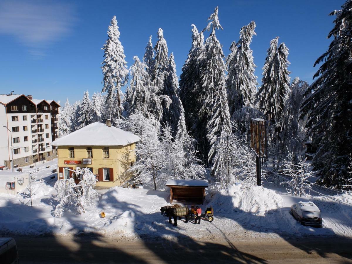 Borovets Apartment, Villa Park Zewnętrze zdjęcie