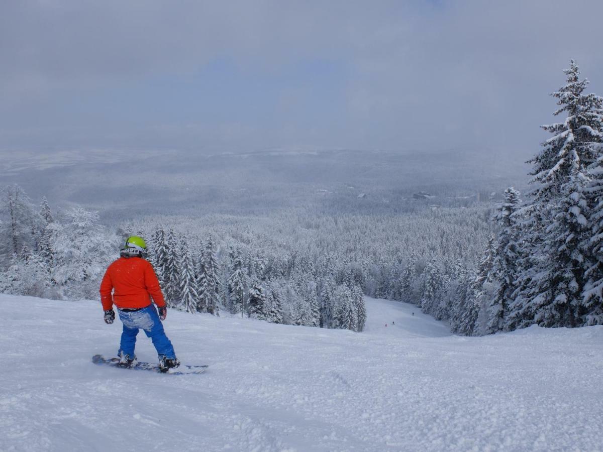 Borovets Apartment, Villa Park Zewnętrze zdjęcie