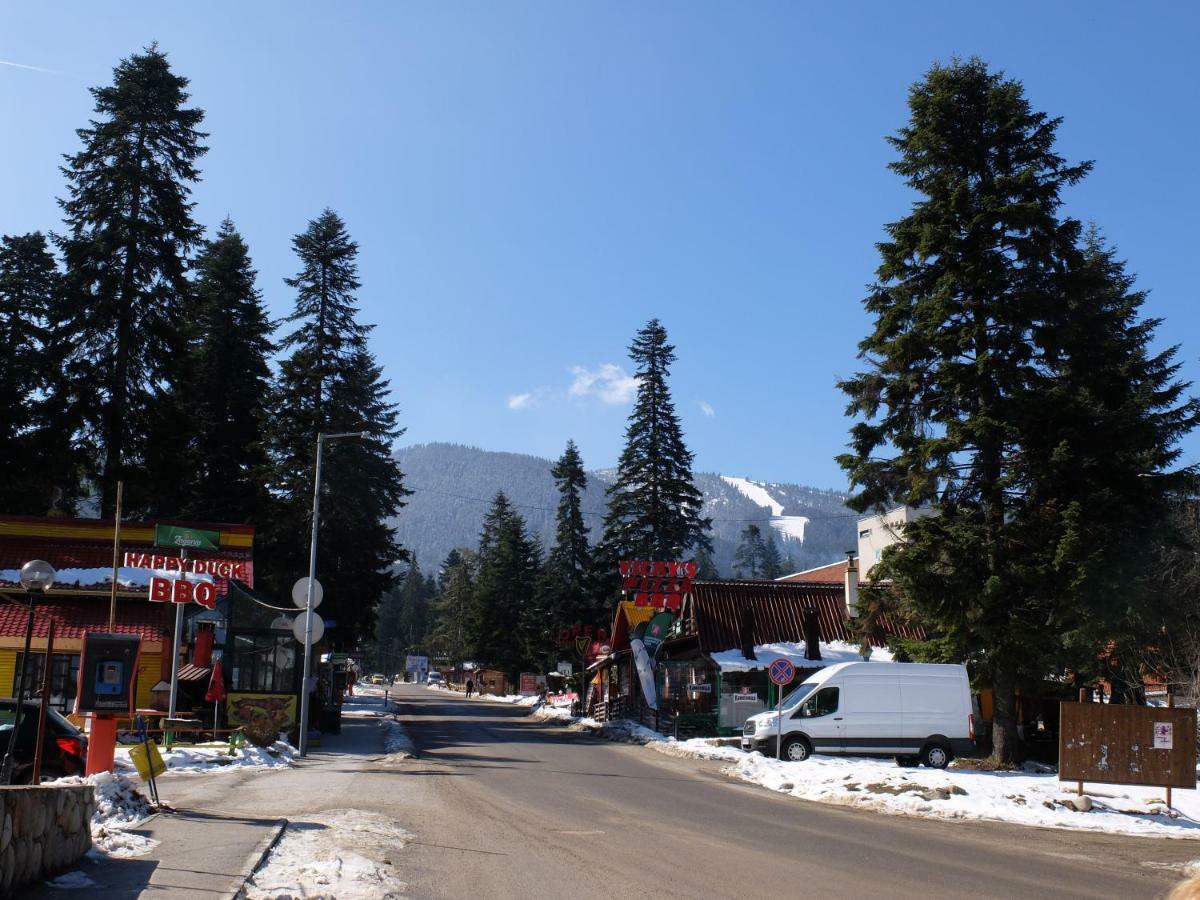 Borovets Apartment, Villa Park Zewnętrze zdjęcie