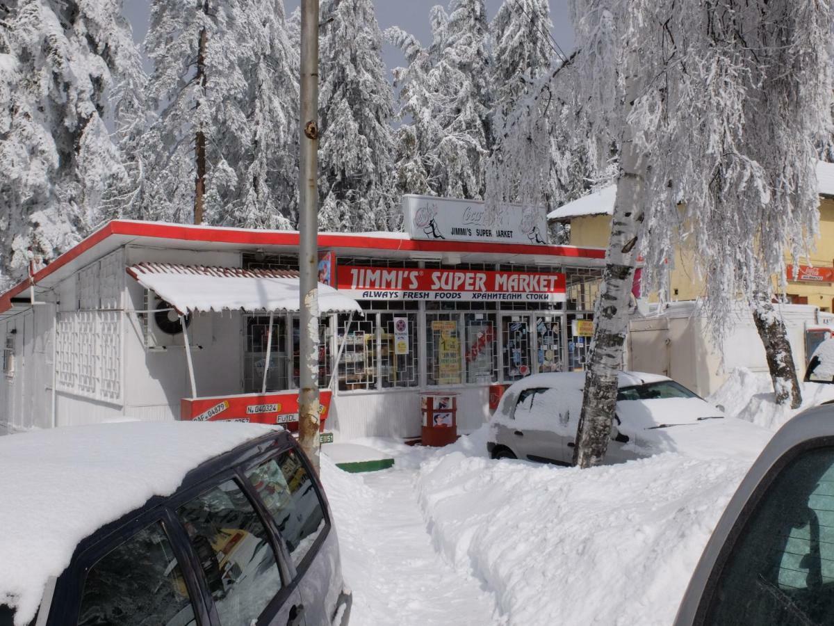 Borovets Apartment, Villa Park Zewnętrze zdjęcie