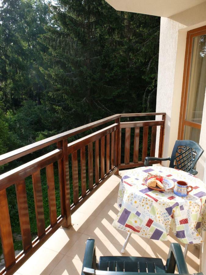 Borovets Apartment, Villa Park Zewnętrze zdjęcie